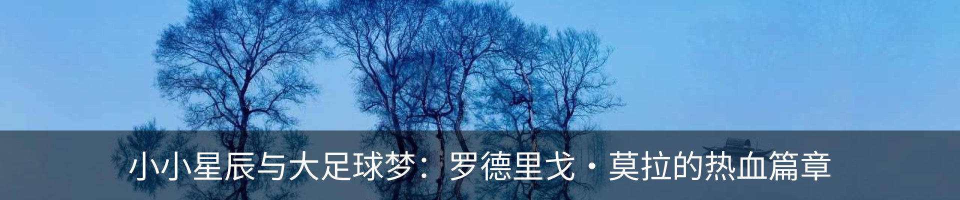 内页banner